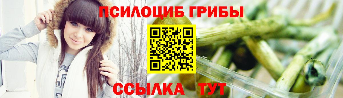Кольчугино  Псилоцибиновые грибы прущие грибы  Вход с VPN 