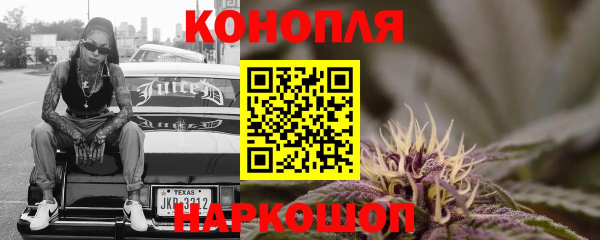 Шишки марихуана сатива Кольчугино